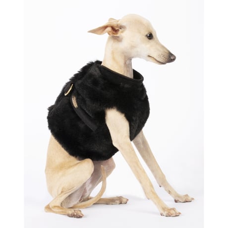 Art. 9026 harness jacket Bellami