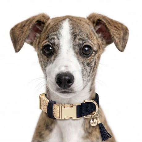 【即納】　Selena Adjustable Collar