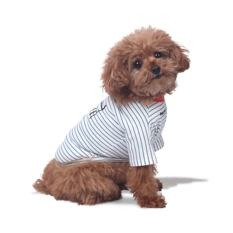 【即納】　Little Doodle Stripe Tee_Blue st