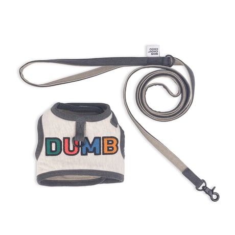 Jolly Dumb Harness Set