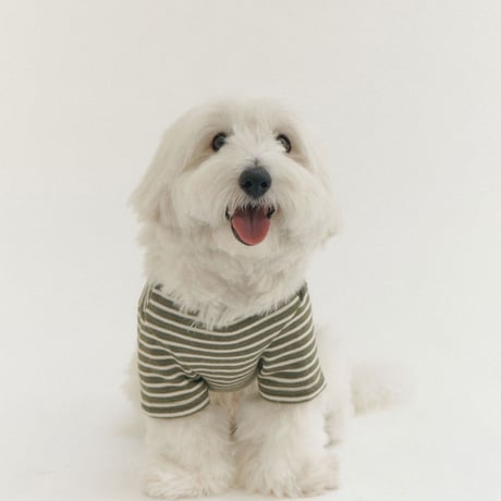 BUTTON SWEAT TEE-KHAKI