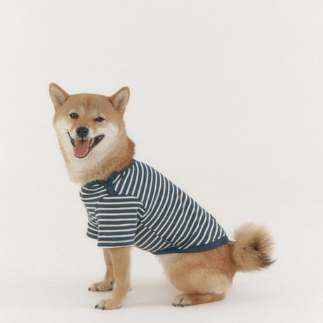 BUTTON SWEAT TEE-NAVY