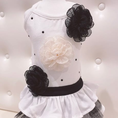 CATEGORY Charlotte's Dress | Chuck's TOKYO Bout