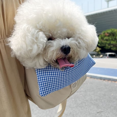 The Honey Bunch Bag