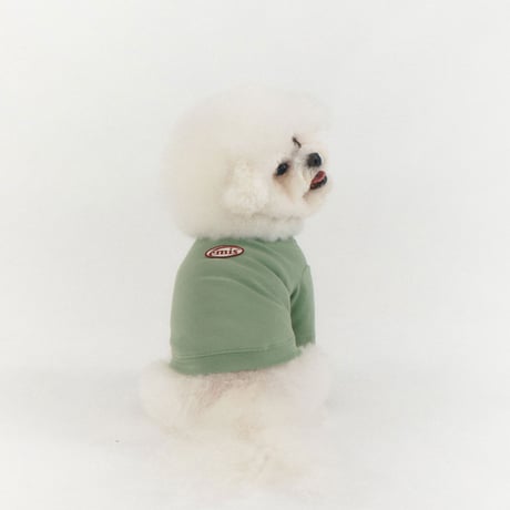 MINI WAPPEN TEE-LIGHT MINT