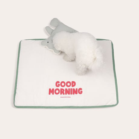 【即納】　Good Morning Mat