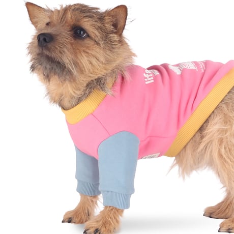 【即納】　Always Happy Together Top_Pink