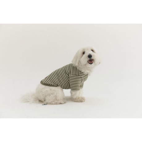 BUTTON SWEAT TEE-KHAKI