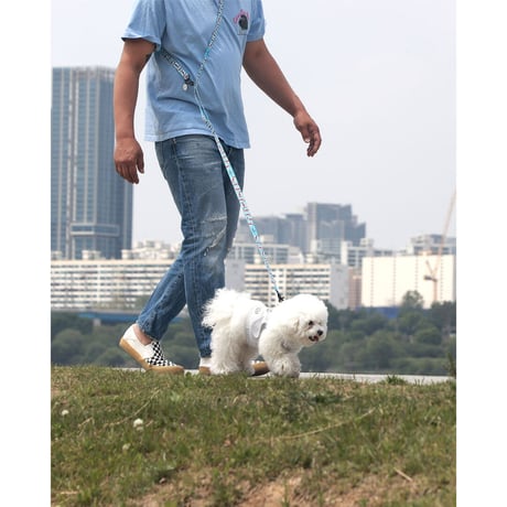 【即納】　Walk with dog_Tomato Ketchup