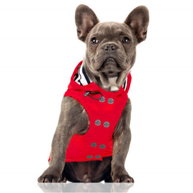 Babord Raincoat with Removable Hood | Chuck's T