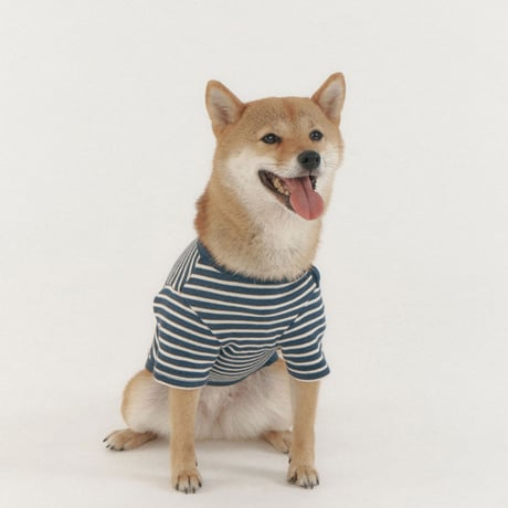 BUTTON SWEAT TEE-NAVY
