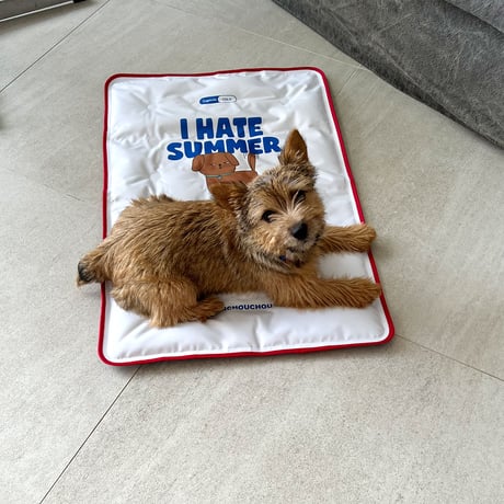 I HATE SUMMER Cool Mat