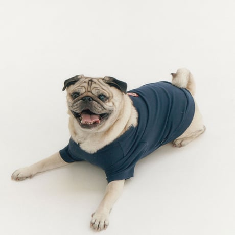 MINI WAPPEN TEE-LIGHT NAVY