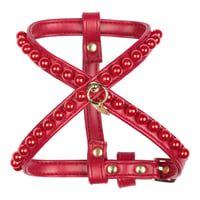 Art. g1655N harness Passion