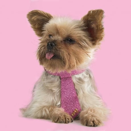 Dog tie