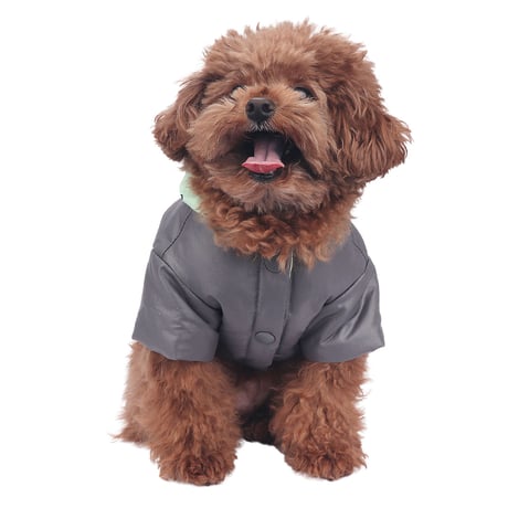 【即納】　Ordinary Dog Reversible Jacket