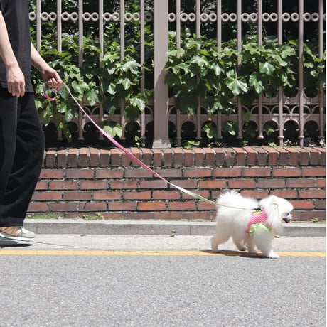 【即納】　Lazy Farm Mesh Harness