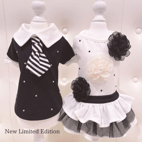 【即納】 Special Stripe tie Arnold