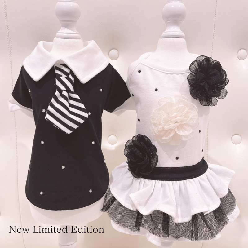 Special Stripe tie Arnold【即納】 | Chuck's TOKYO B