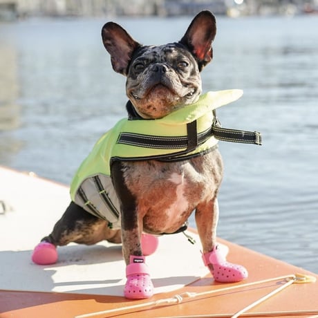 Wag Wellies Mojave