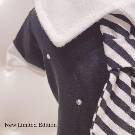 【即納】 Special Stripe tie Arnold