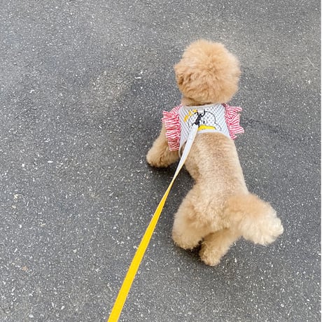 【即納】　Lazy Farm Mesh Harness