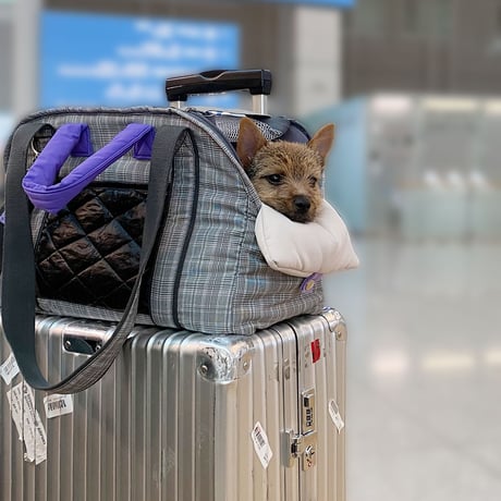 【即納】　Dobi Check Bag