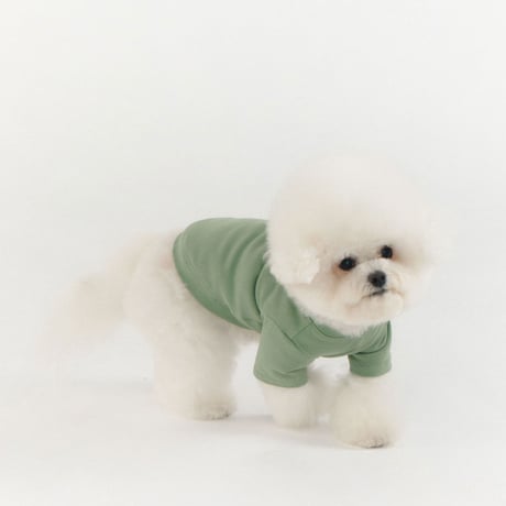 MINI WAPPEN TEE-LIGHT MINT
