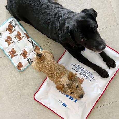 I HATE SUMMER Cool Mat