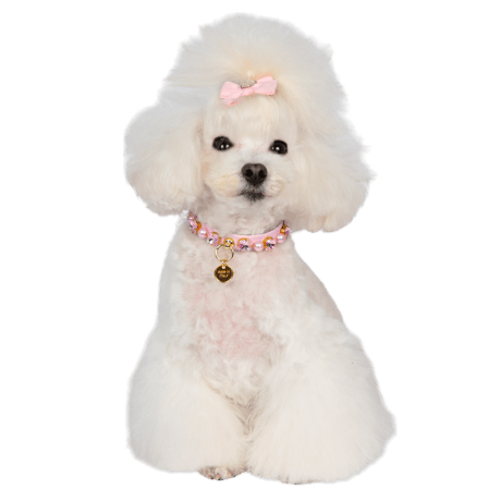 Art. f1526N collar Lidia