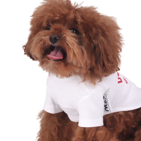 【即納】　The Dog Walker Club Sleeve Tee for Dog