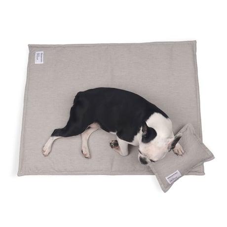 【即納】　MCC Blanket