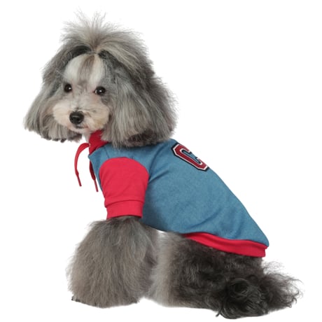 Art. 3191 sweatshirt Lee