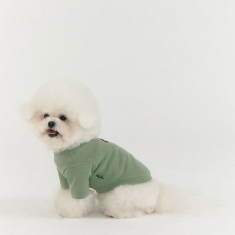 MINI WAPPEN TEE-LIGHT MINT