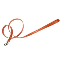 Art. h1566N leash Hermes (シルバー仕様)