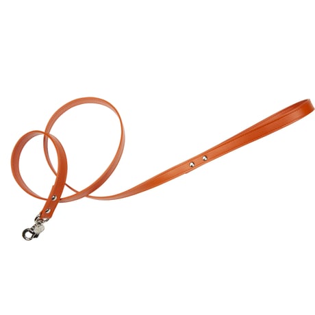 Art. h1566N leash Hermes (シルバー仕様)
