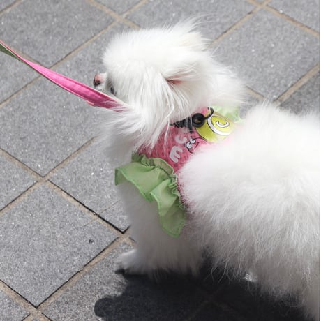 【即納】　Lazy Farm Mesh Harness