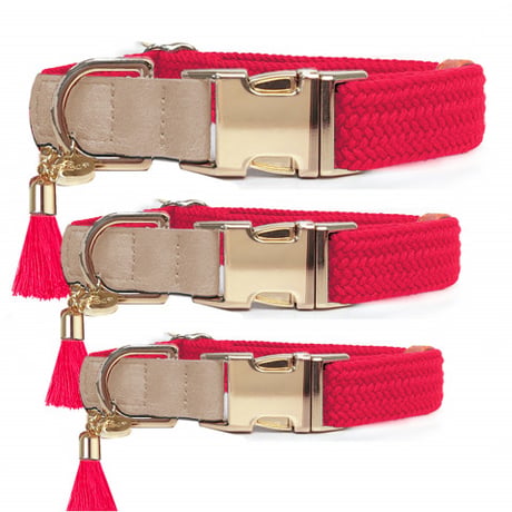 【即納】　Kaya Adjustable Collar