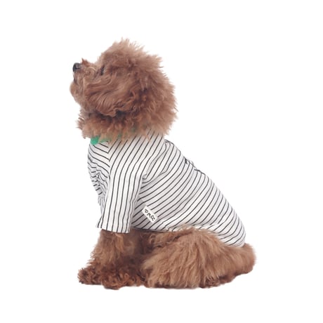 【即納】　Little Doodle Stripe Tee_Black st