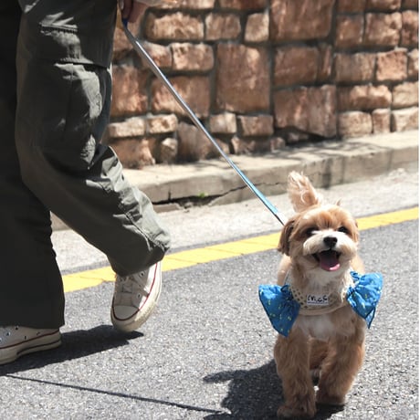 【即納】　Lazy Farm Mesh Harness
