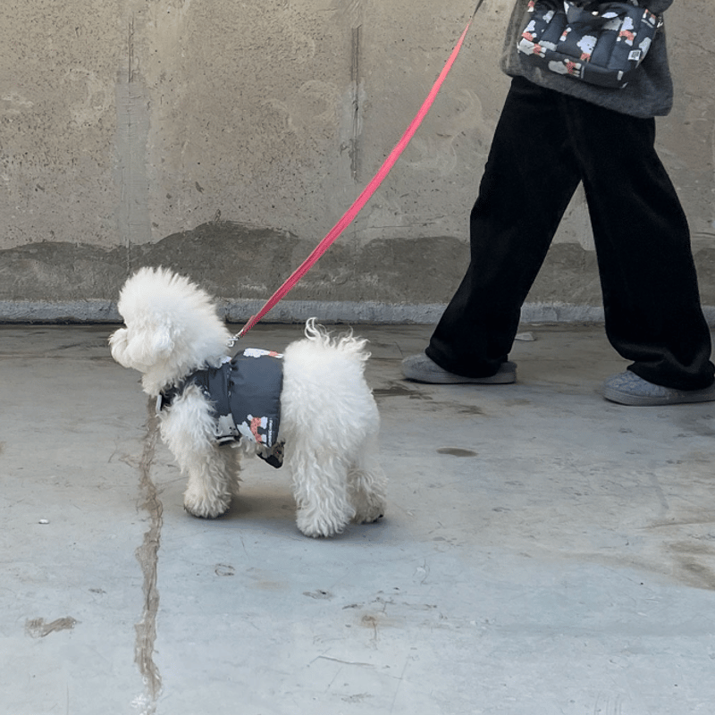 NEIGHBORHOOD DOG HARNESS GRAY M ハーネス 犬用 Harness and