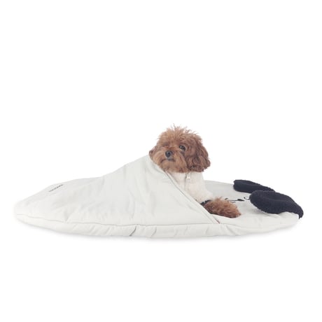 Lucky Dog Fogni