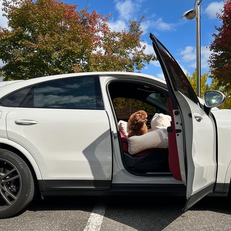 MONCARSEAT Fur Edition 23