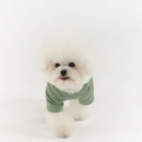 MINI WAPPEN TEE-LIGHT MINT
