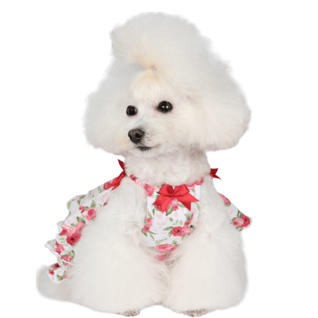 Art. 2076 dress Rosebud【即納】