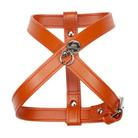 Art. g1566N harness Hermes(シルバー仕様)