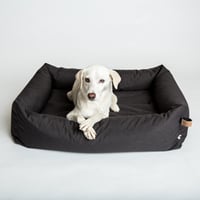 Dog Bed Sleepy Outdoor Graphite Sサイズ