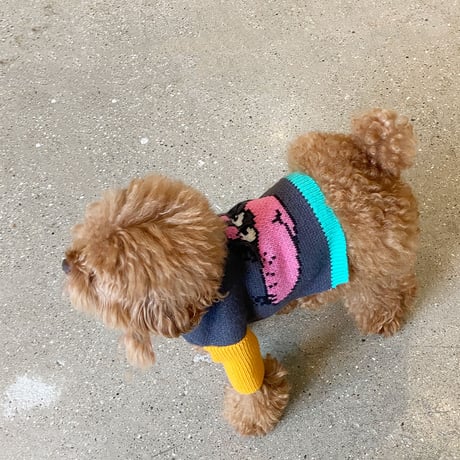 【即納】　Beau Beau Turtle Neck