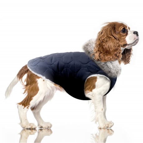 Hugo Down Jacket