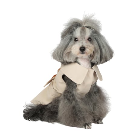Art. 1114lxxl raincoat Neil